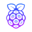 Raspberry Pi